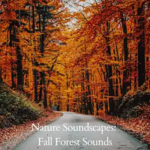 Nature Soundscapes: Fall Forest Sounds