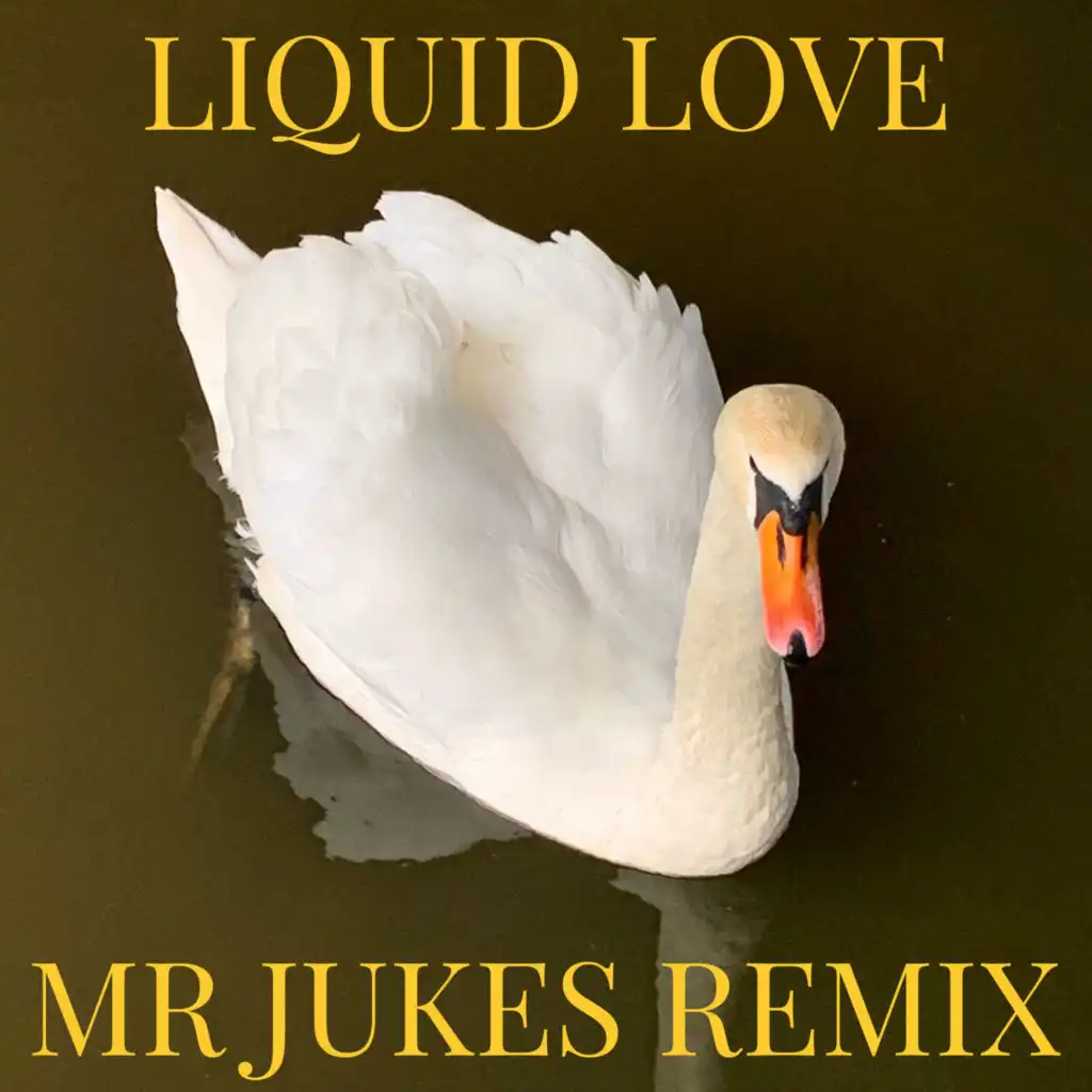 Liquid Love (Mr Jukes Remix)