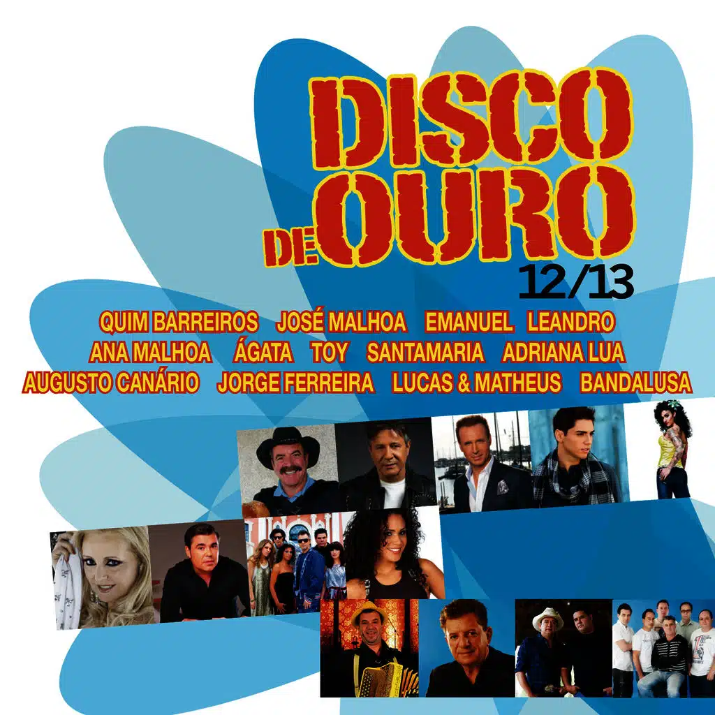 Disco de Ouro 12-13