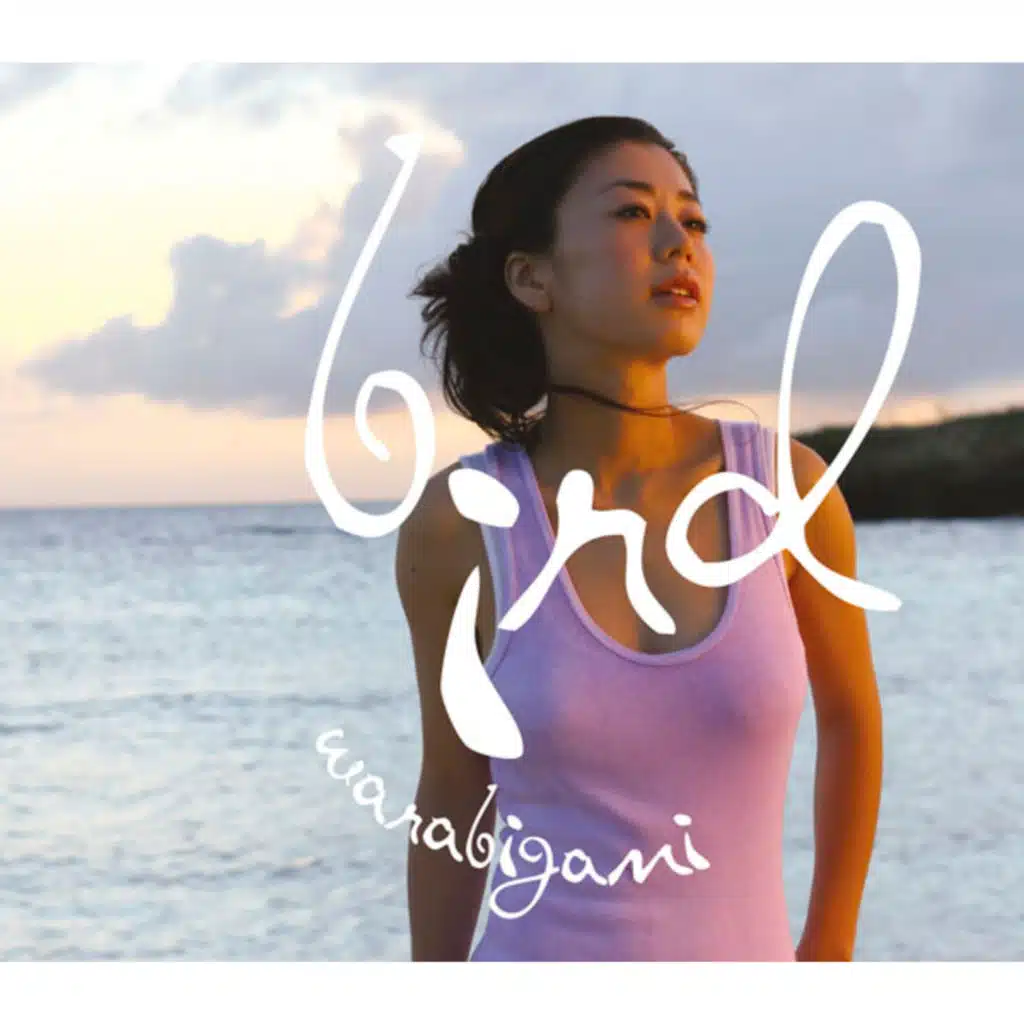 WARABIGAMI (LIVE at MIYAKOJIMA '05)