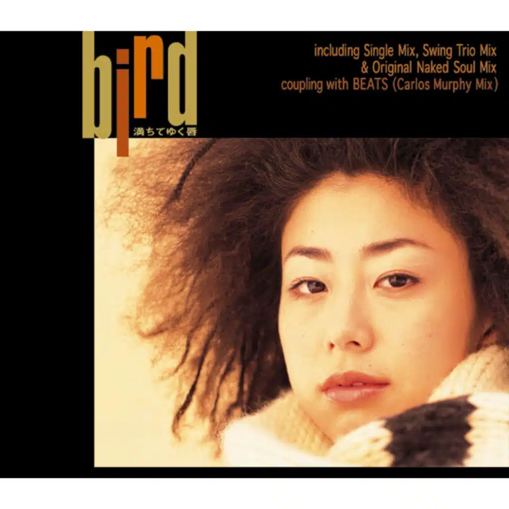 Michiteyuku Kuchibiru