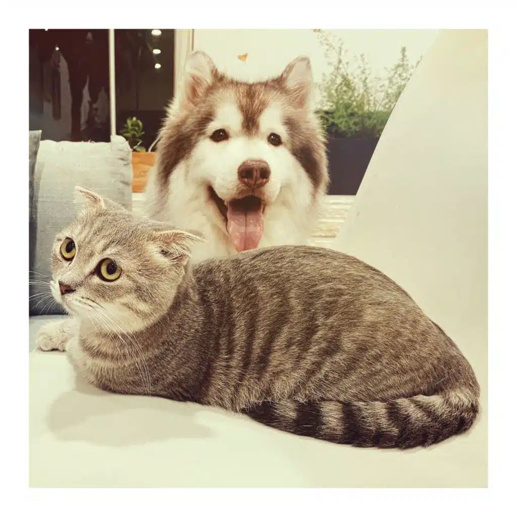 There is Hope in Every Moment