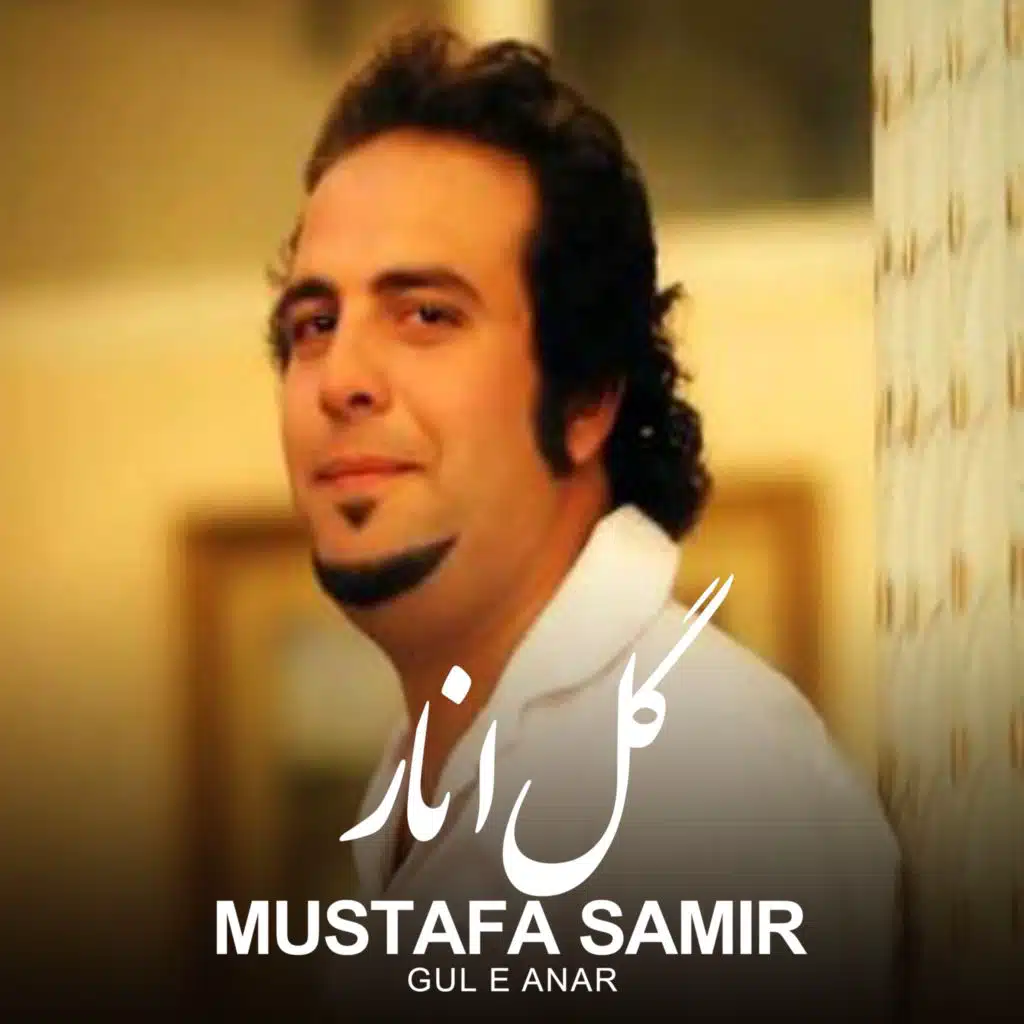 Gul e Anar (Remix) [feat. Zarnigar MP]