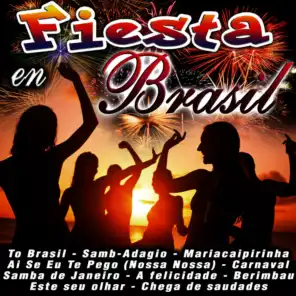Fiesta en Brasil