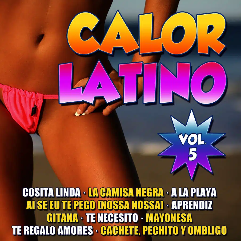 Calor Latino Vol.5