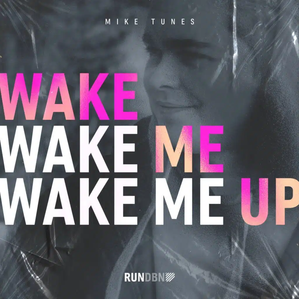 Wake Me Up (Extended Mix)
