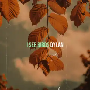 I See Birds