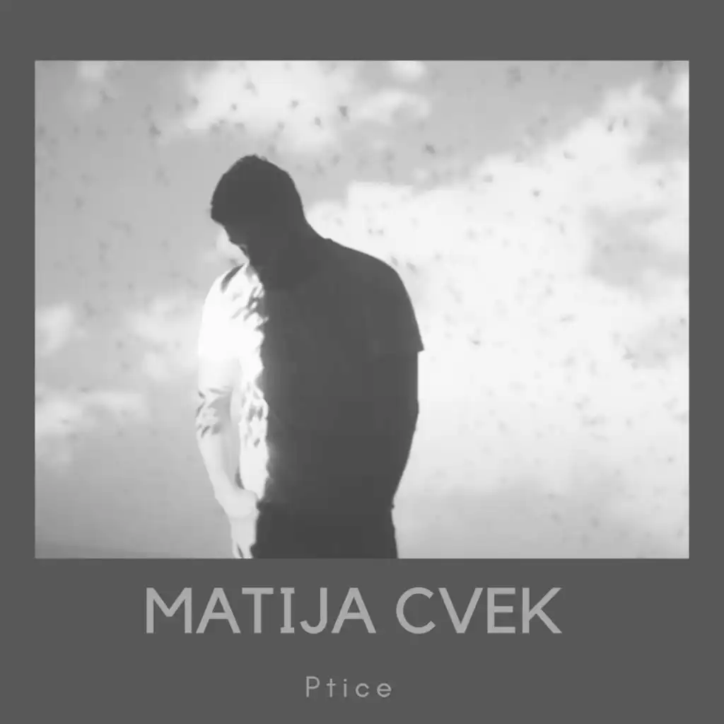 Ptice (Nik Orosi Remix)