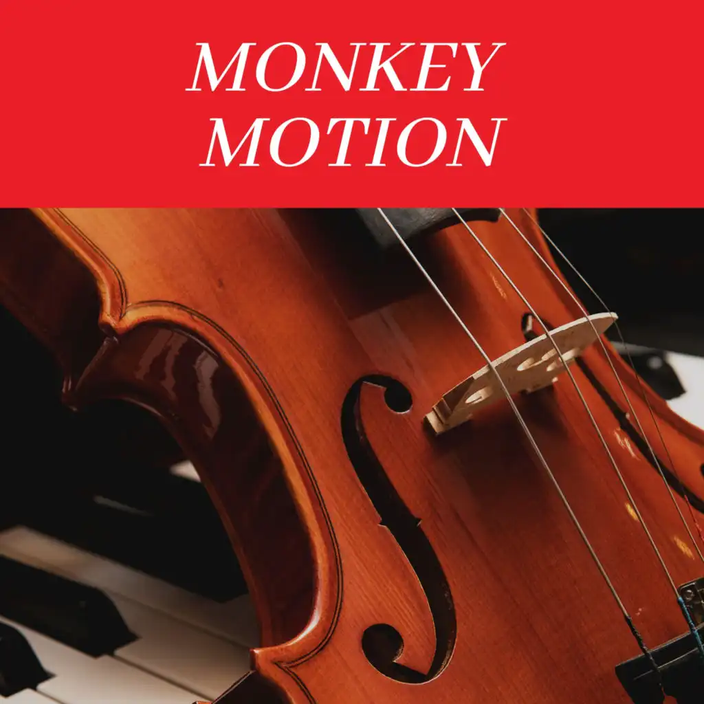 Monkey Motion