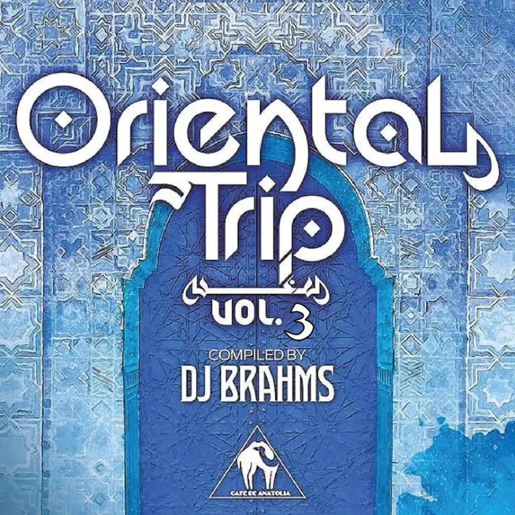 Oriental Trip, Vol. 3 (Compiled by DJ Brahms)