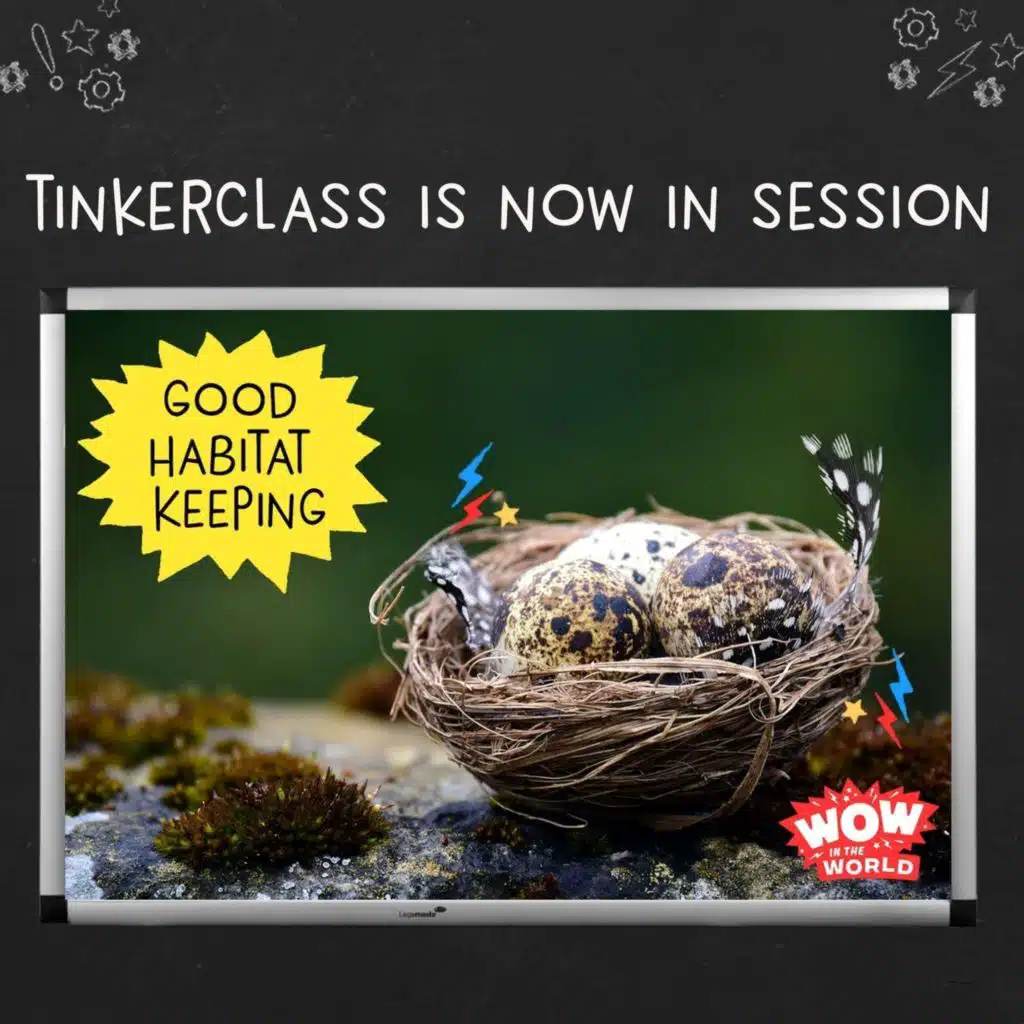 Tinkerclass (Week 3 Day 5): Reflect & Share