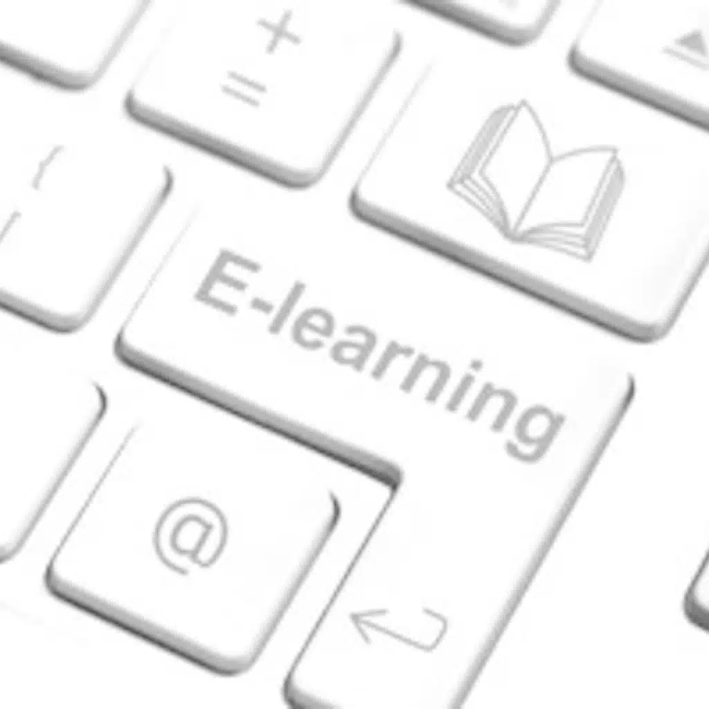 Can an e-learning system motivate students?