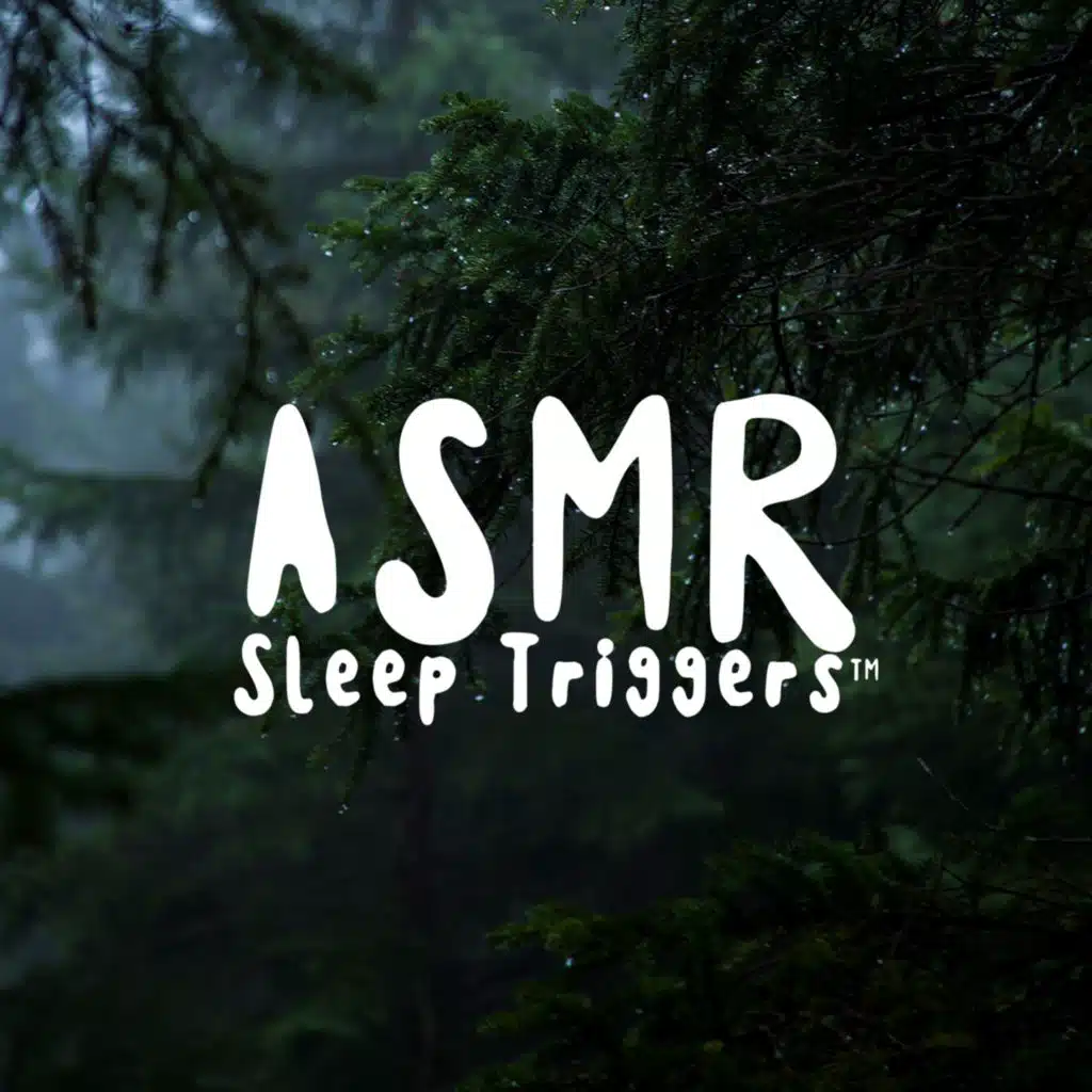City Park Bedtime Sleep Story (ASMR Sleep Triggers)
