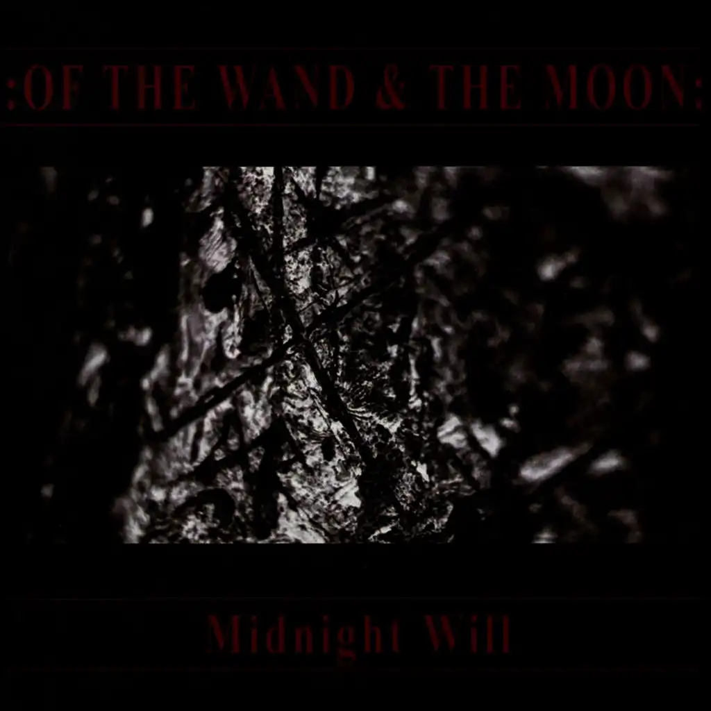 Midnight Will (Live At Hau Ruck! Festival 03.03.02)