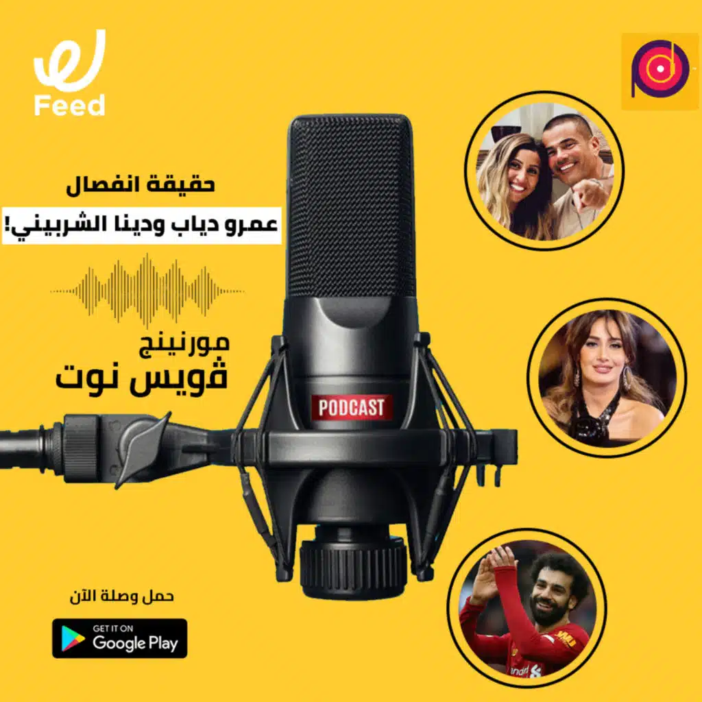 حقيقة انفصال عمرو دياب ودينا الشربيني!