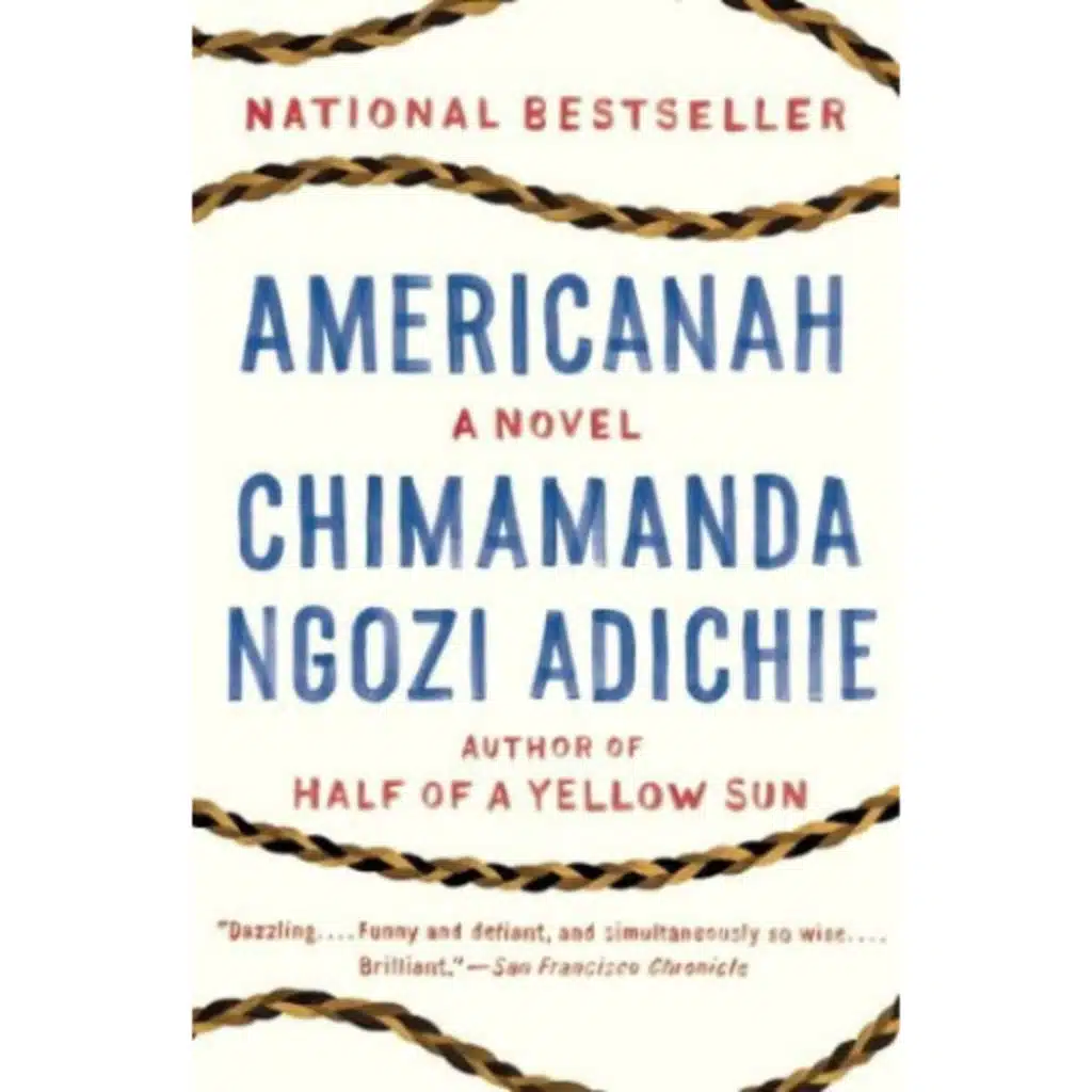 Americanah Novel by Chimamanda Ngozi Adichie | Episode 1 | 