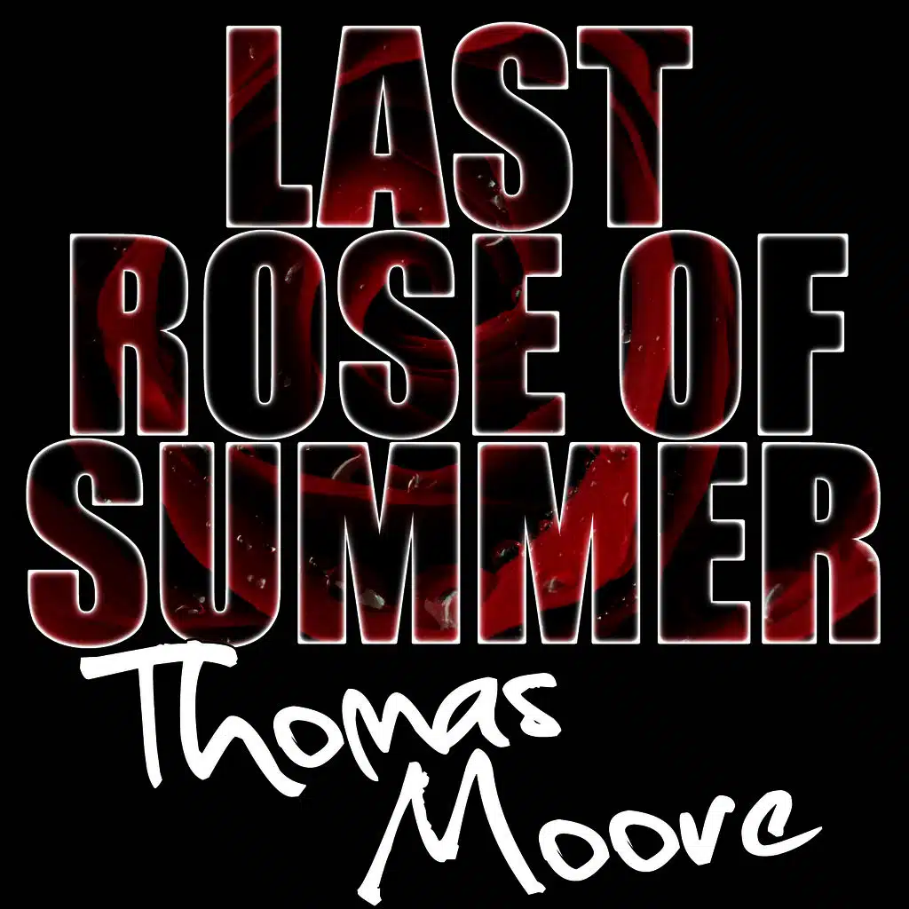 Last Rose of Summer - EP