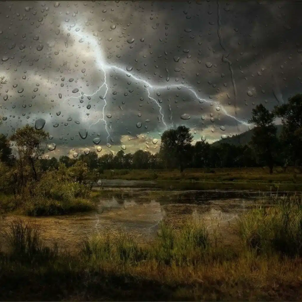 Rain & Thunder | Rainstorm Sounds for Sleep, Studying or Relaxation