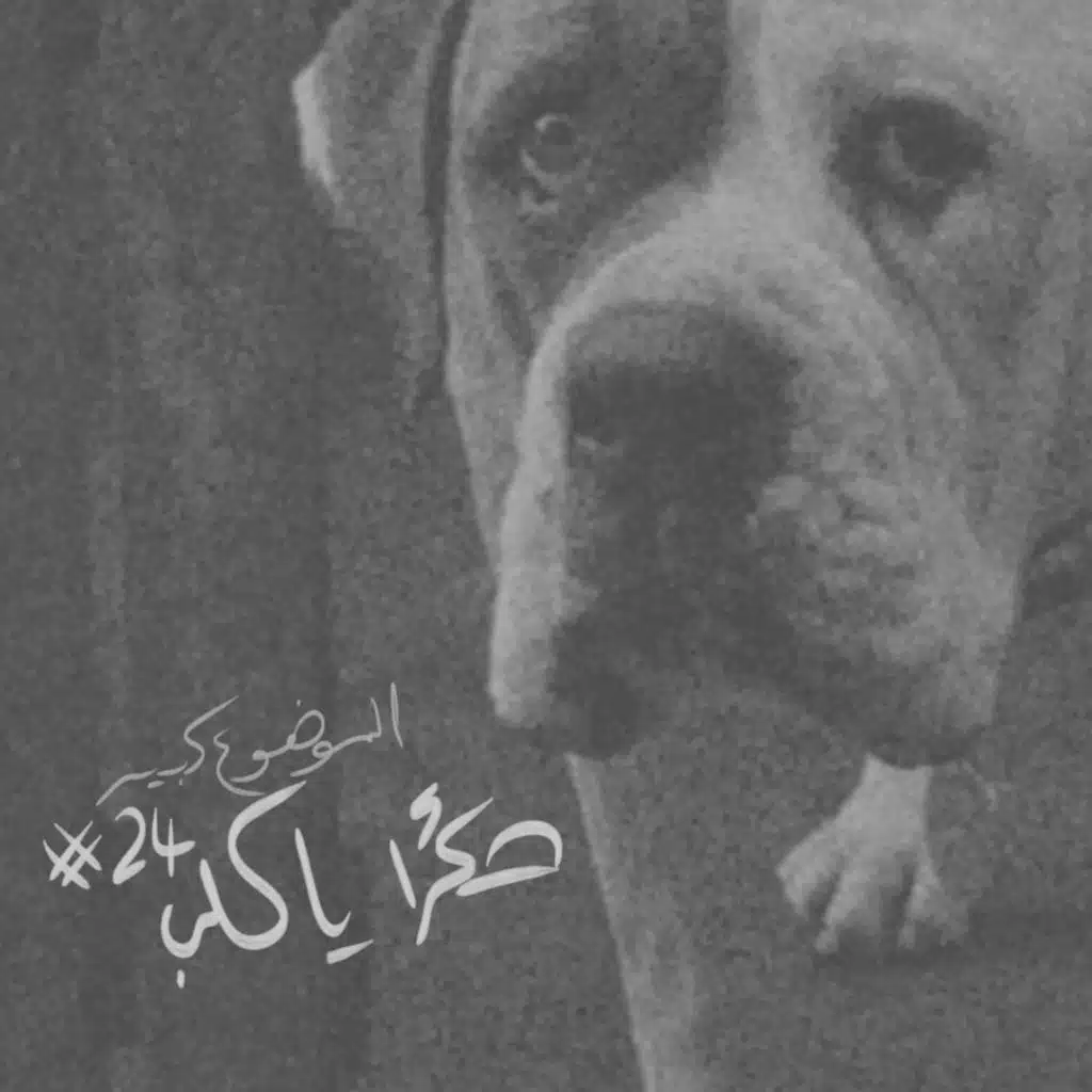 الموضوع كبير #24 شكرا يا كلب