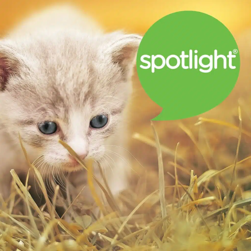 The Science of Being Cute