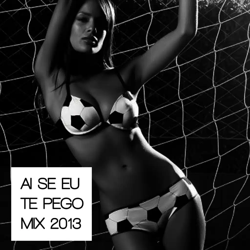 Ai Se Eu Te Pego Mix 2013