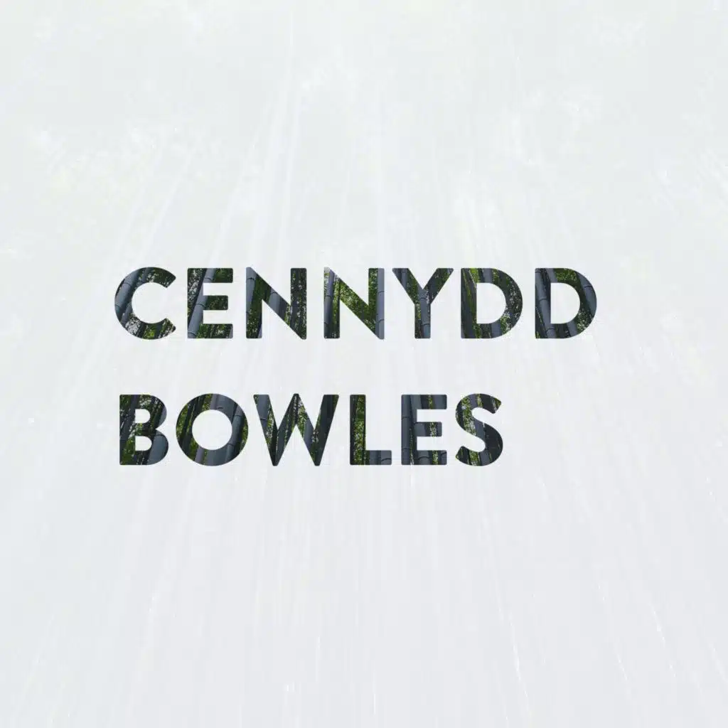 22: Poor Man's Pokemon (feat. Cennydd Bowles)