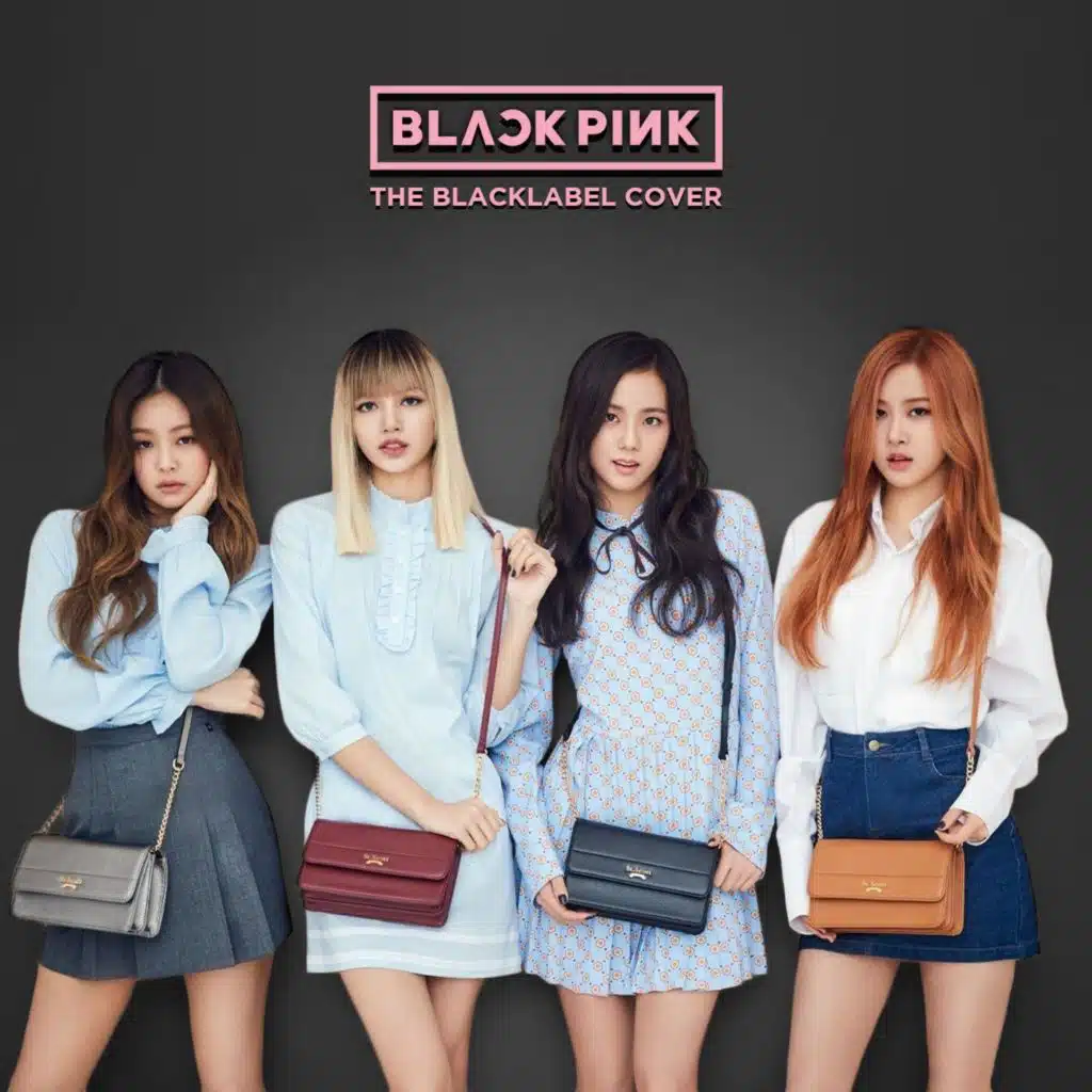 So Hot / BLACKPINK (THEBLACKLABEL Remix Cover)