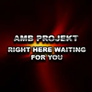 AMB Projekt