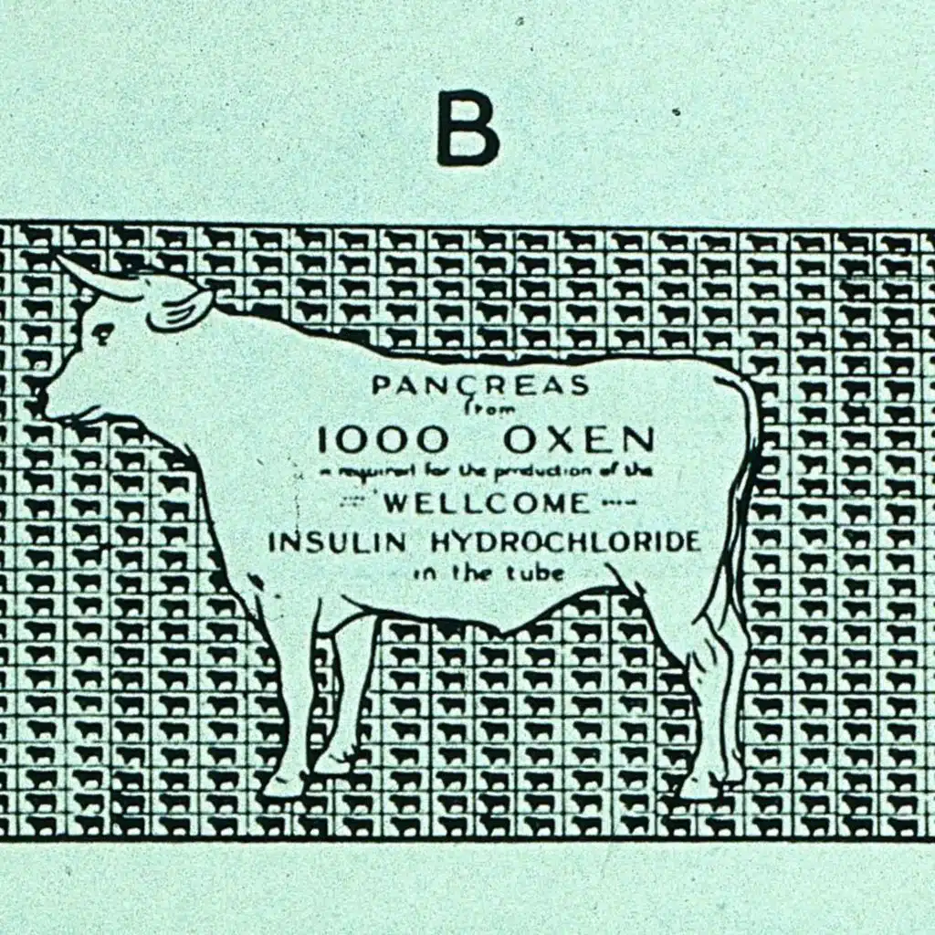 Summer Shorts #3 - Insulin Drama