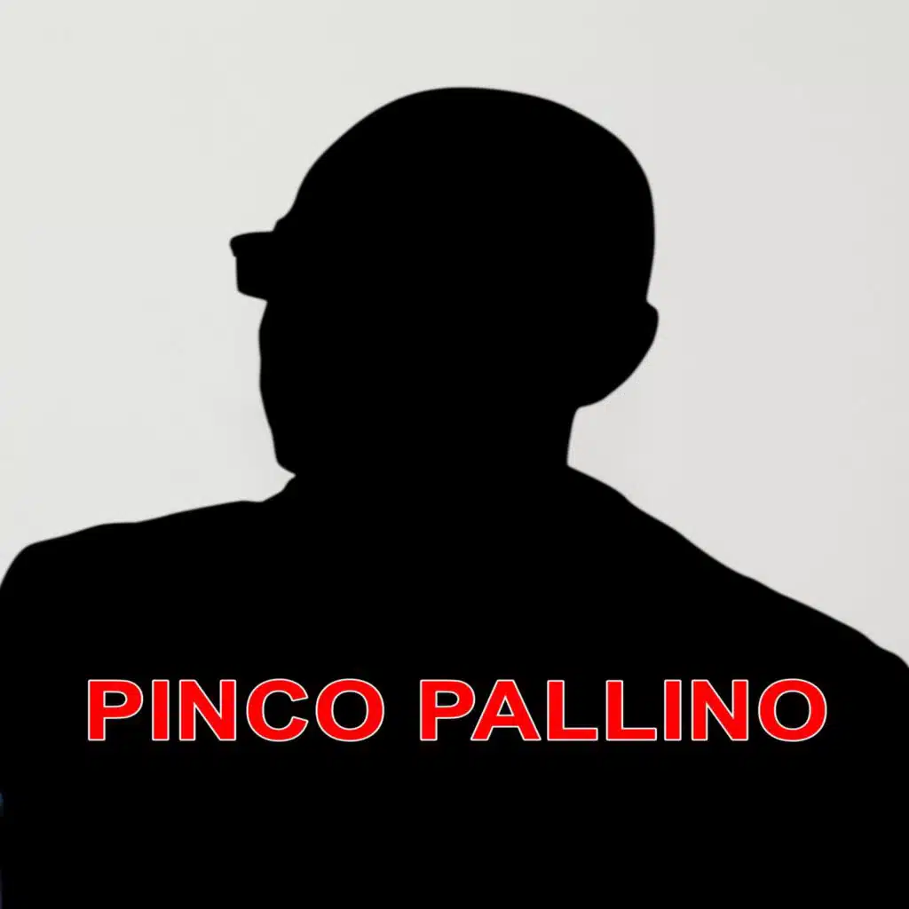 14 – Un Pinco Pallino qualsiasi