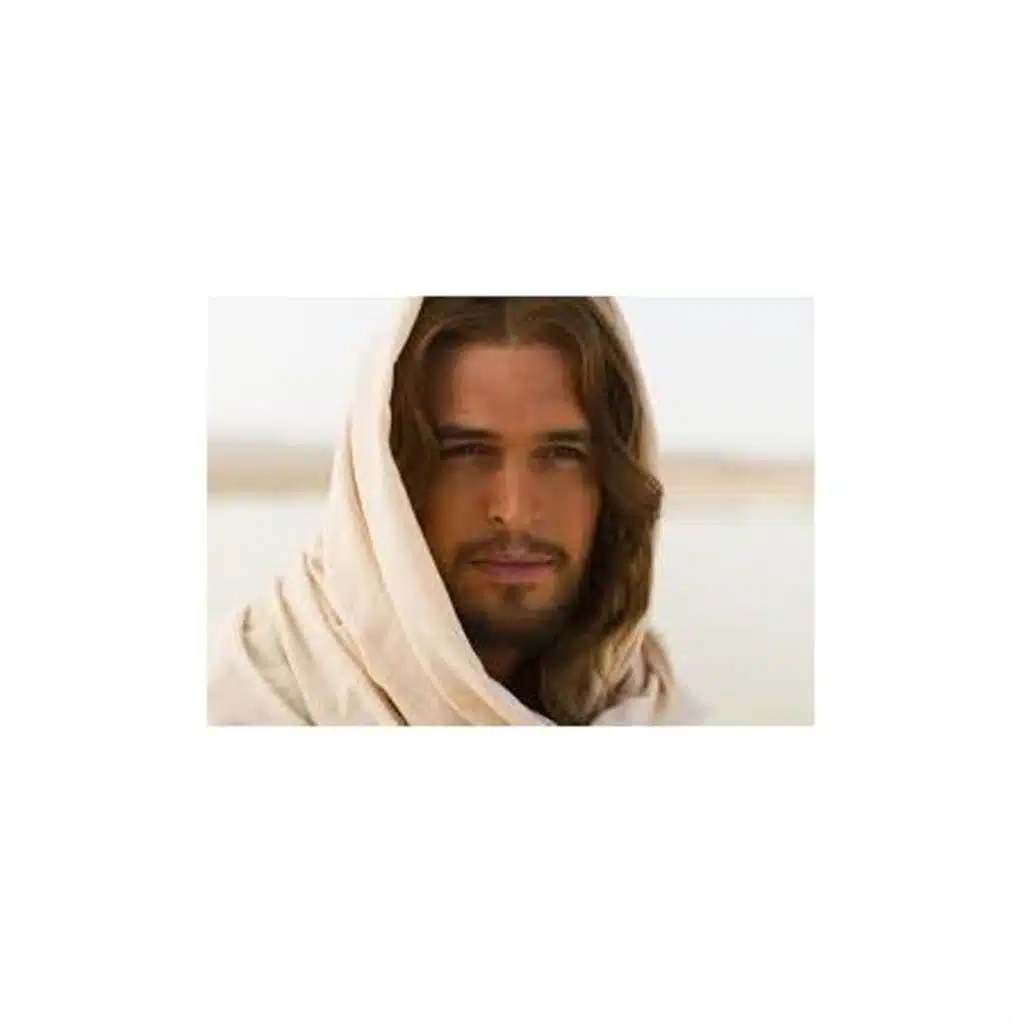 The 2014 Academy Awards Preview Show