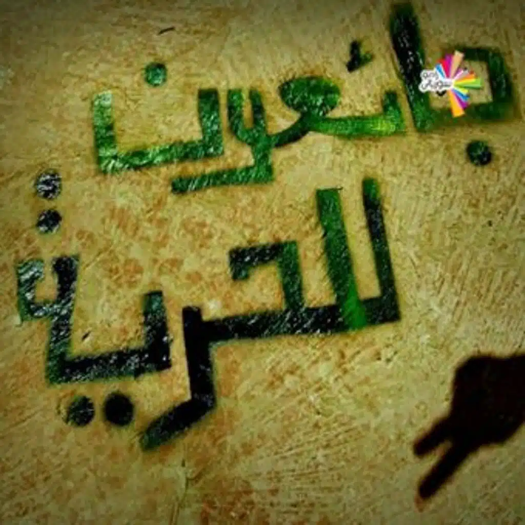 الحريات ومفاهيم الوطنية والقومية - شروي غروي 14