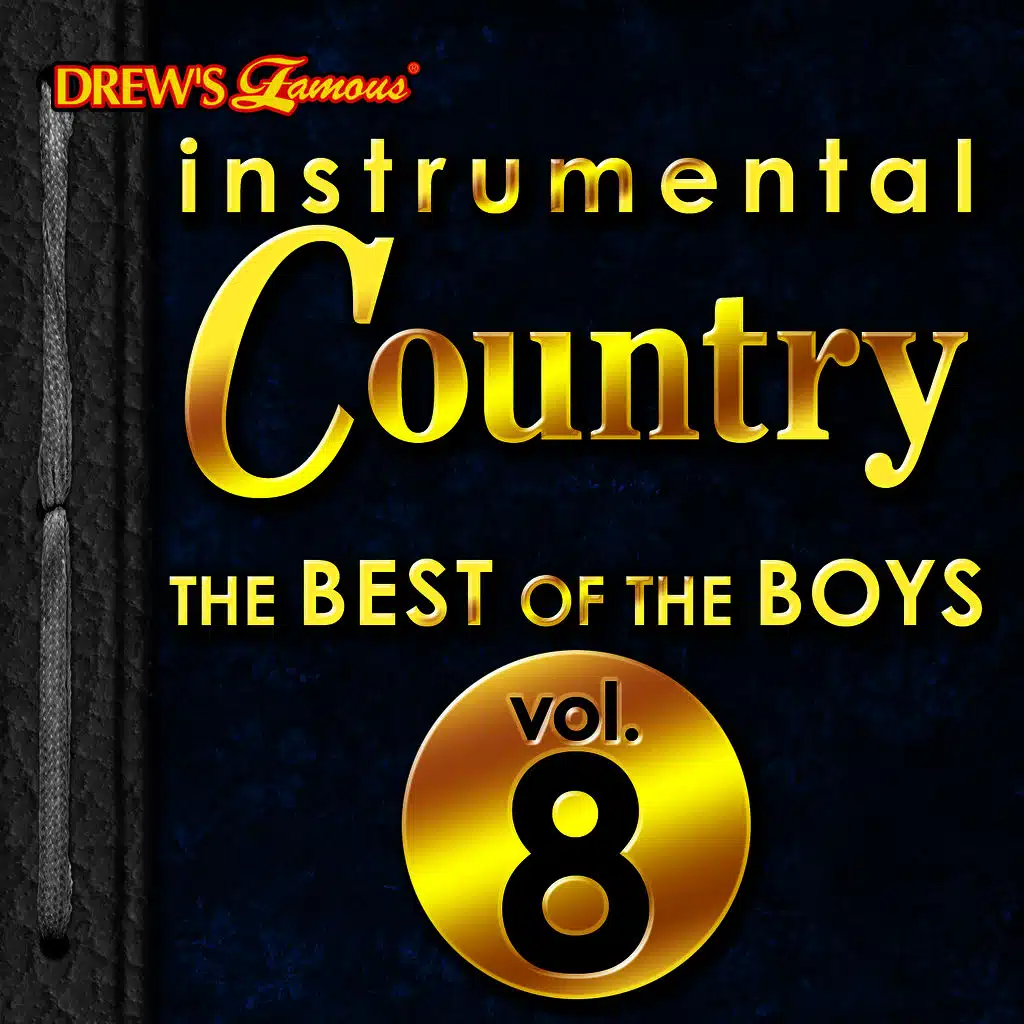 Instrumental Country: The Best of the Boys, Vol. 8