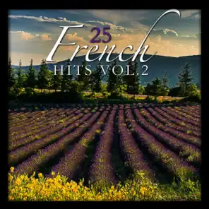 25 French Hits Vol. 2