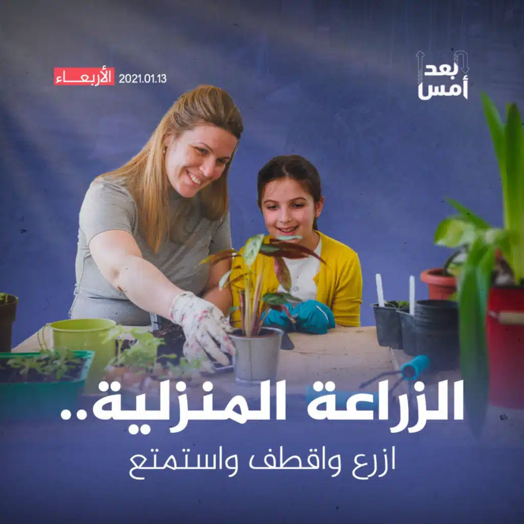 الزراعة المنزلية.. ازرع واقطف واستمتع