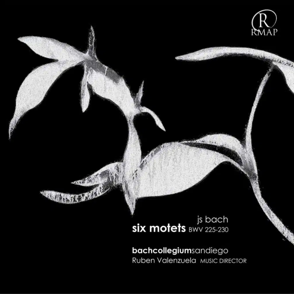 Bach Motets