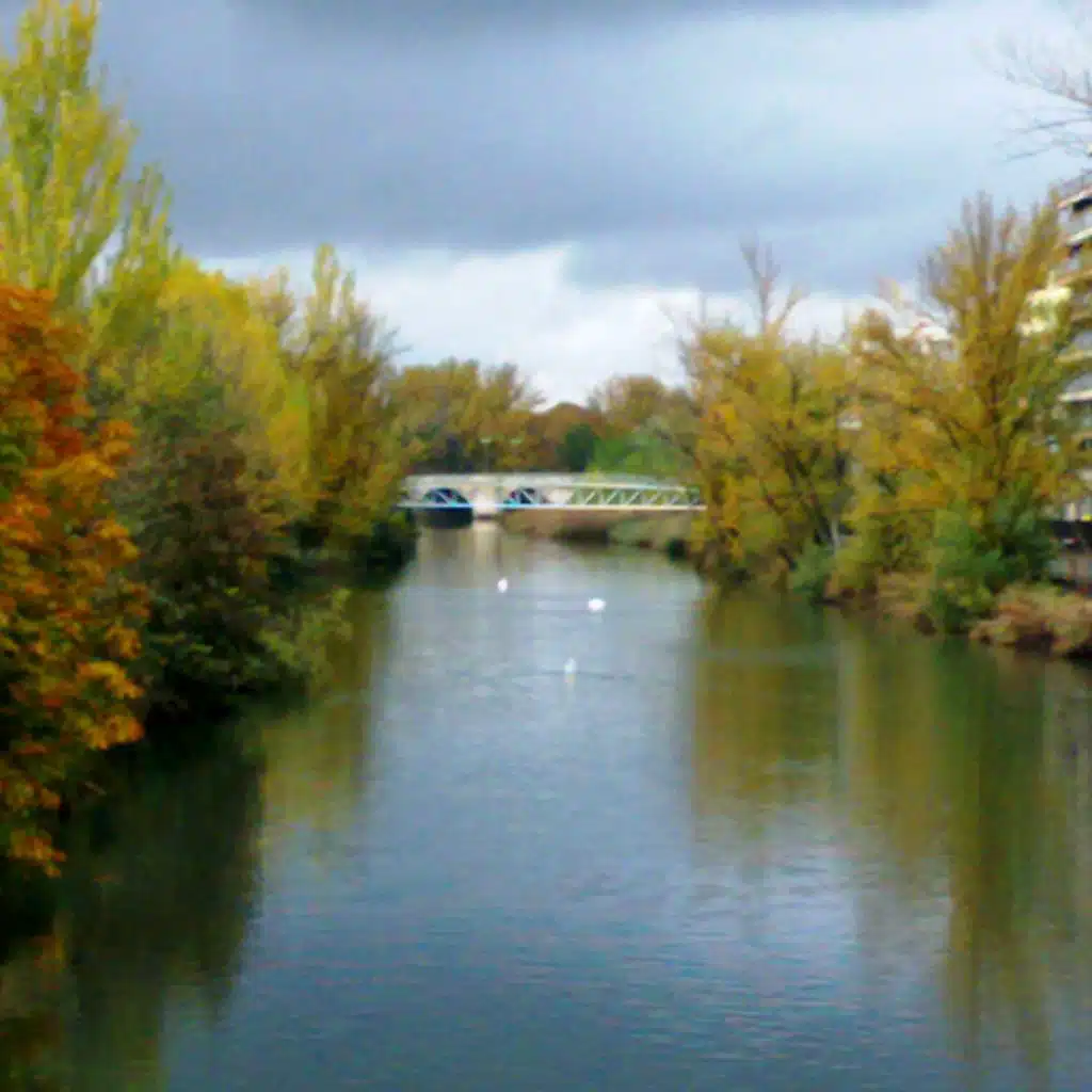 Autumn