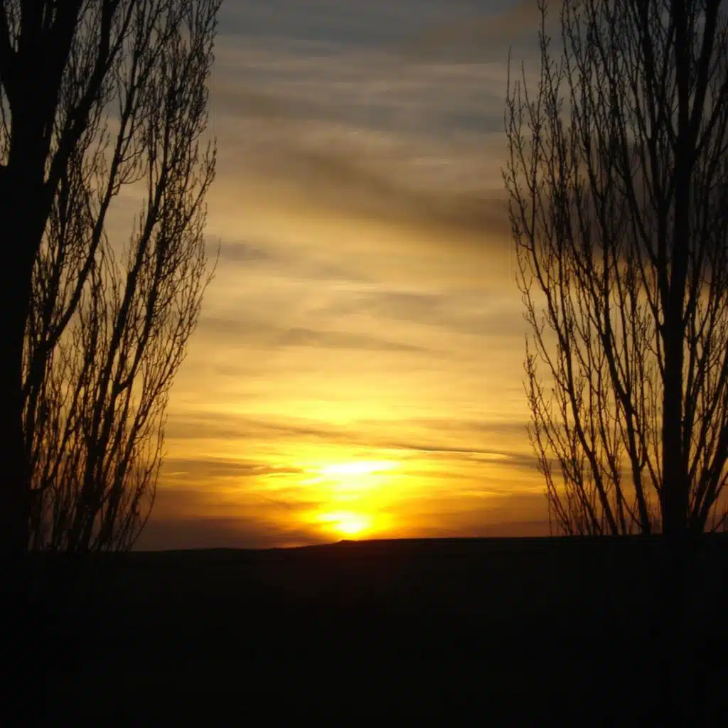 The shortest day