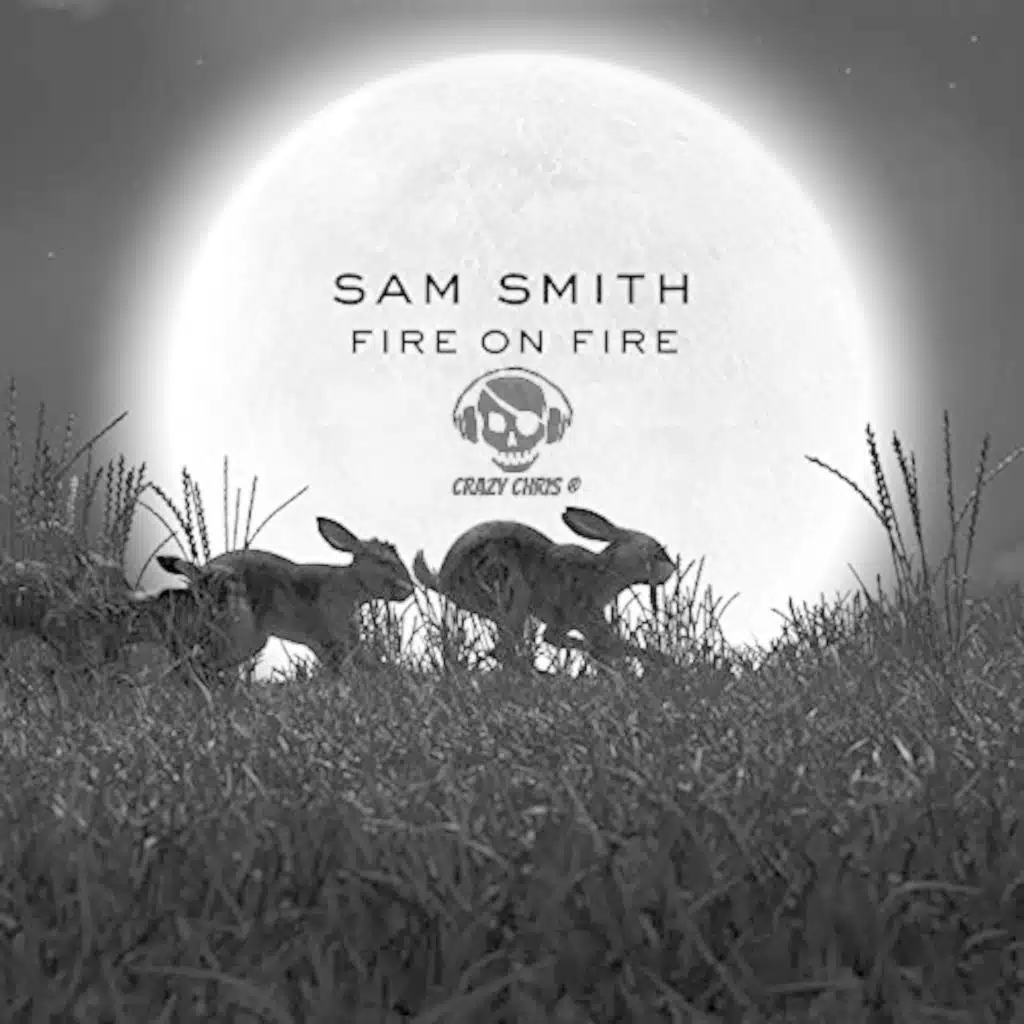 Sam Smith ~ FIRE ON FIRE (Crazy Chris - Hybrid Bass)