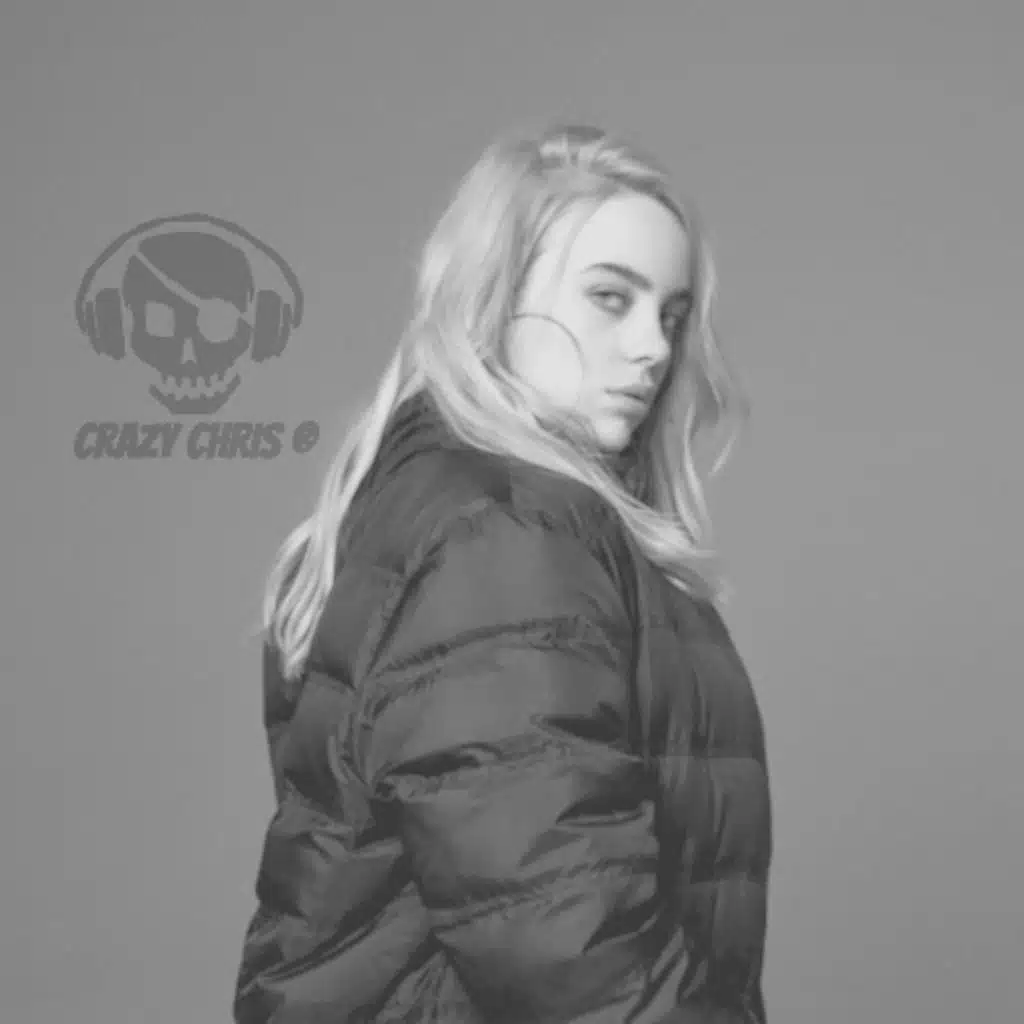 Billie Eilish + Vince Staples ~ BURN (Crazy Chris - Hybrid Bass)