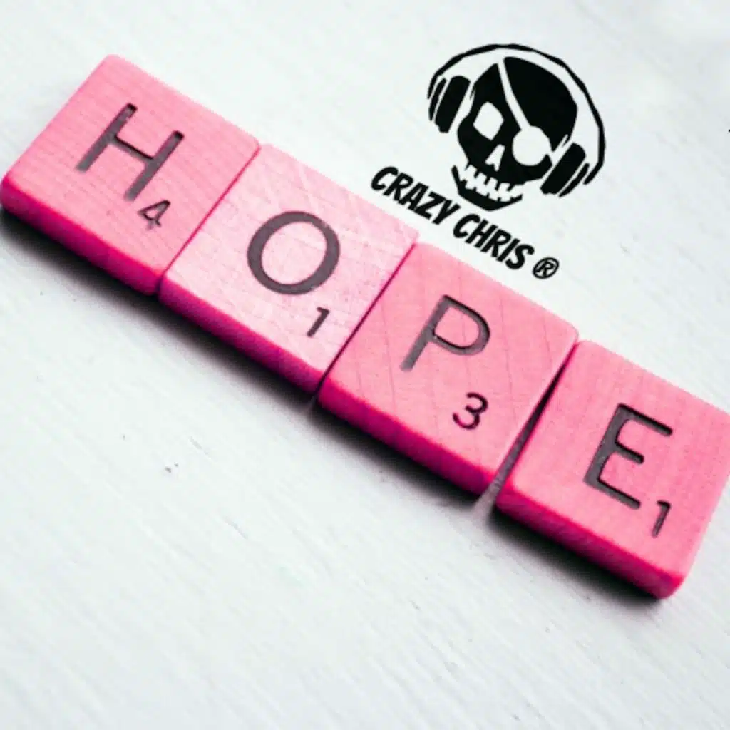 The Chainsmokers ft. Winona Oak ~ HOPE (Crazy Chris - Future Bass)