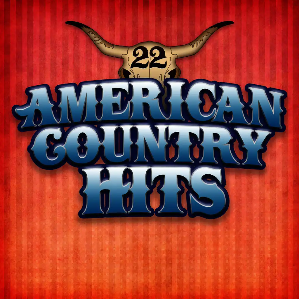 Today's Top Country Hits, Vol 22