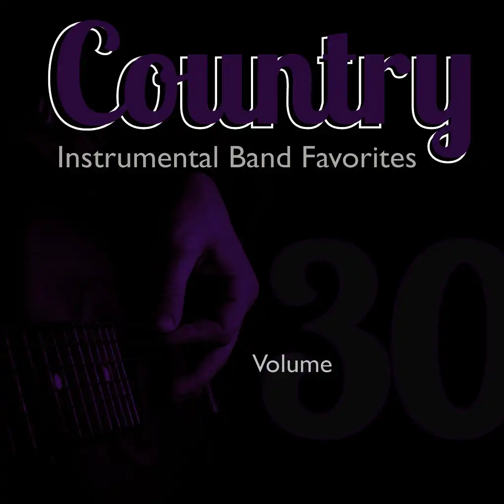 Country Instrumental Band Favorites, Vol. 30
