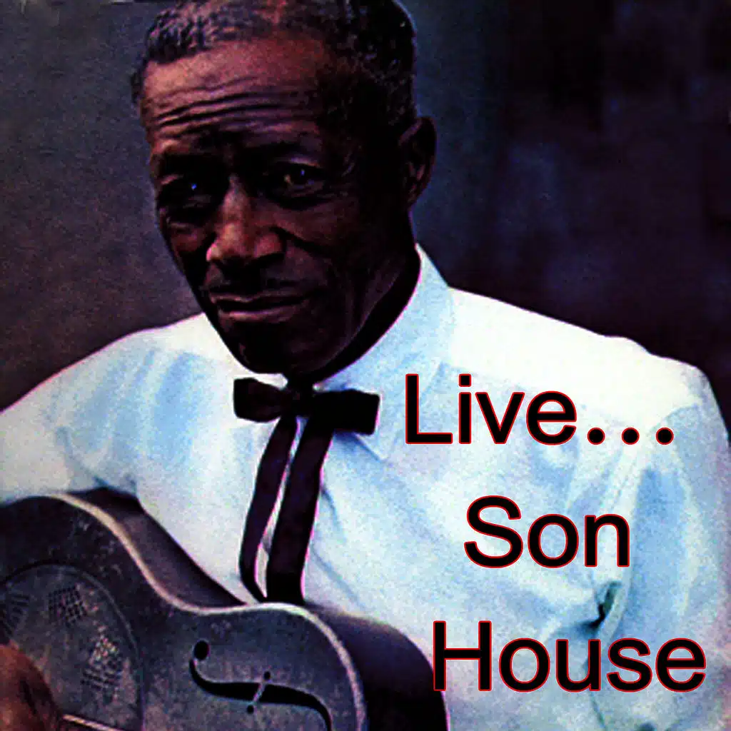 Levee Camp Blues (Live)