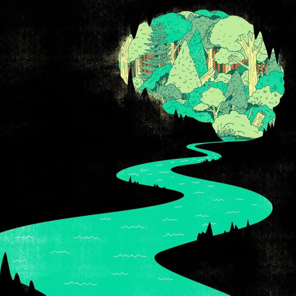 صنم أفلاطون ولعنة الكهف