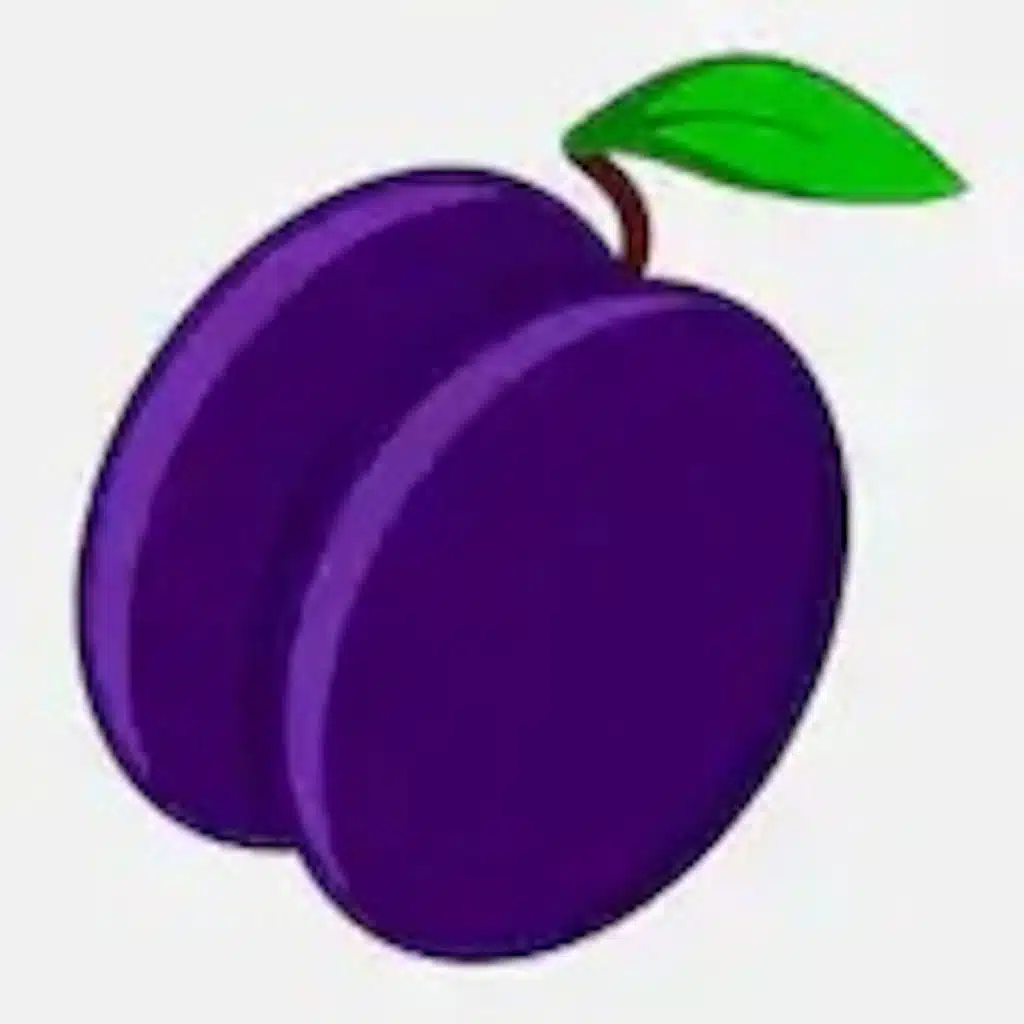 #1 Pros and Cons of online pokies in NZ