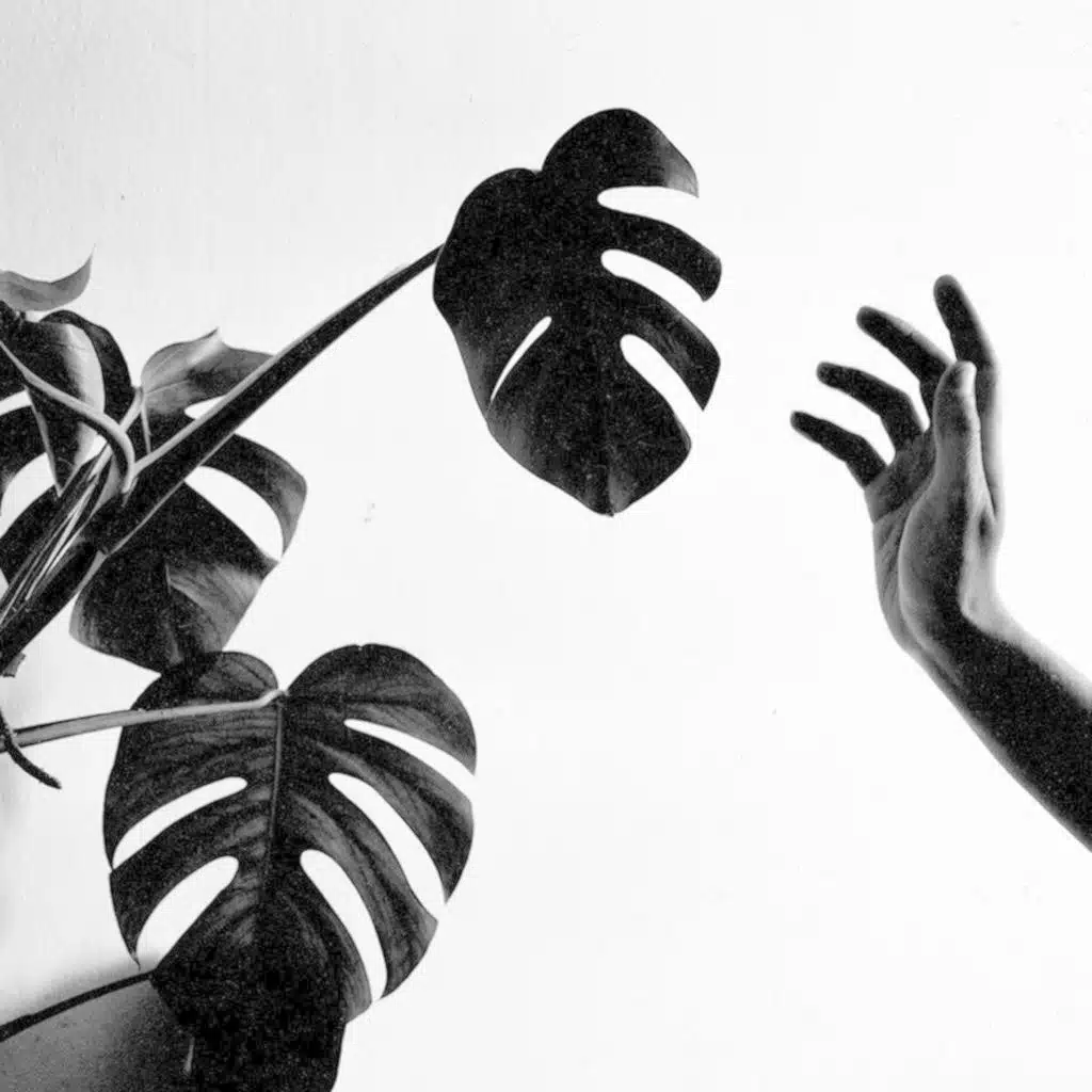 ساعة معاذية - حلقة تجريبية