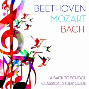 Beethoven, Mozart, Bach: A Back To School Classical Study Guide