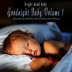 Wiegenlied: Guten Abend, Gute Nacht (Good Evening, Good Night), Op. 49, No. 4 [Brahm's Lullaby]