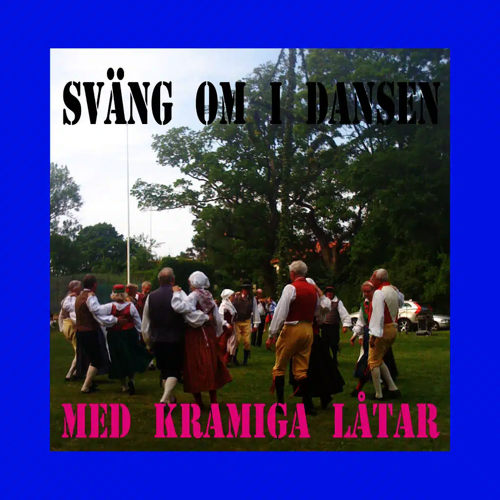 Sväng om i dansen